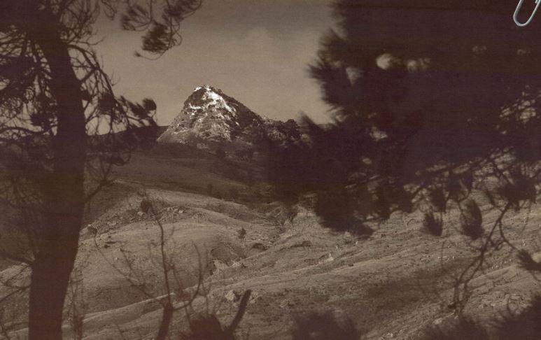 St Hill Warren Family - Woodford St Hill