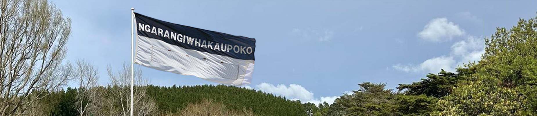 Ko Ngārangiwhakaūpoko te tangata