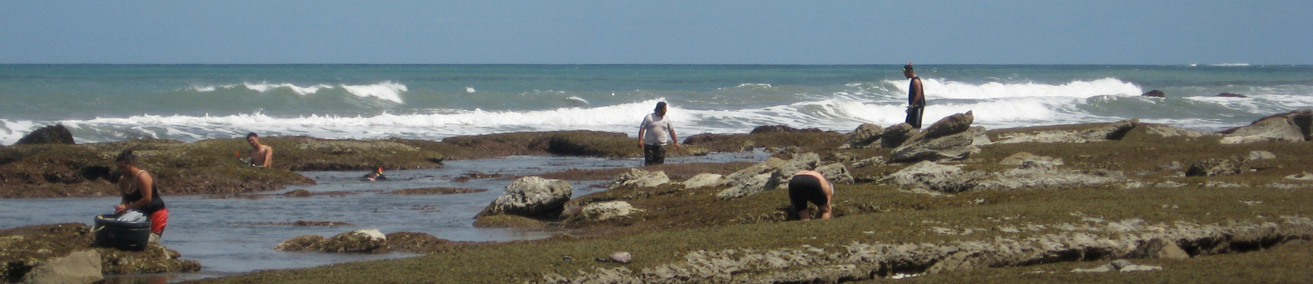 Akahoa he iti taku it, he iti nō roto i te kōpua kānapanapa
