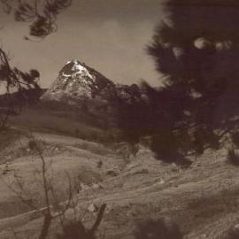 St Hill Warren Family - Woodford St Hill