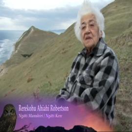 Te Hau Kāinga Part 2 of 2